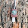 Kahverengi Starbucks Kablo Ucu Koruyucu